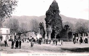 MILIANA - Mines de Fer du Zaccar - 10